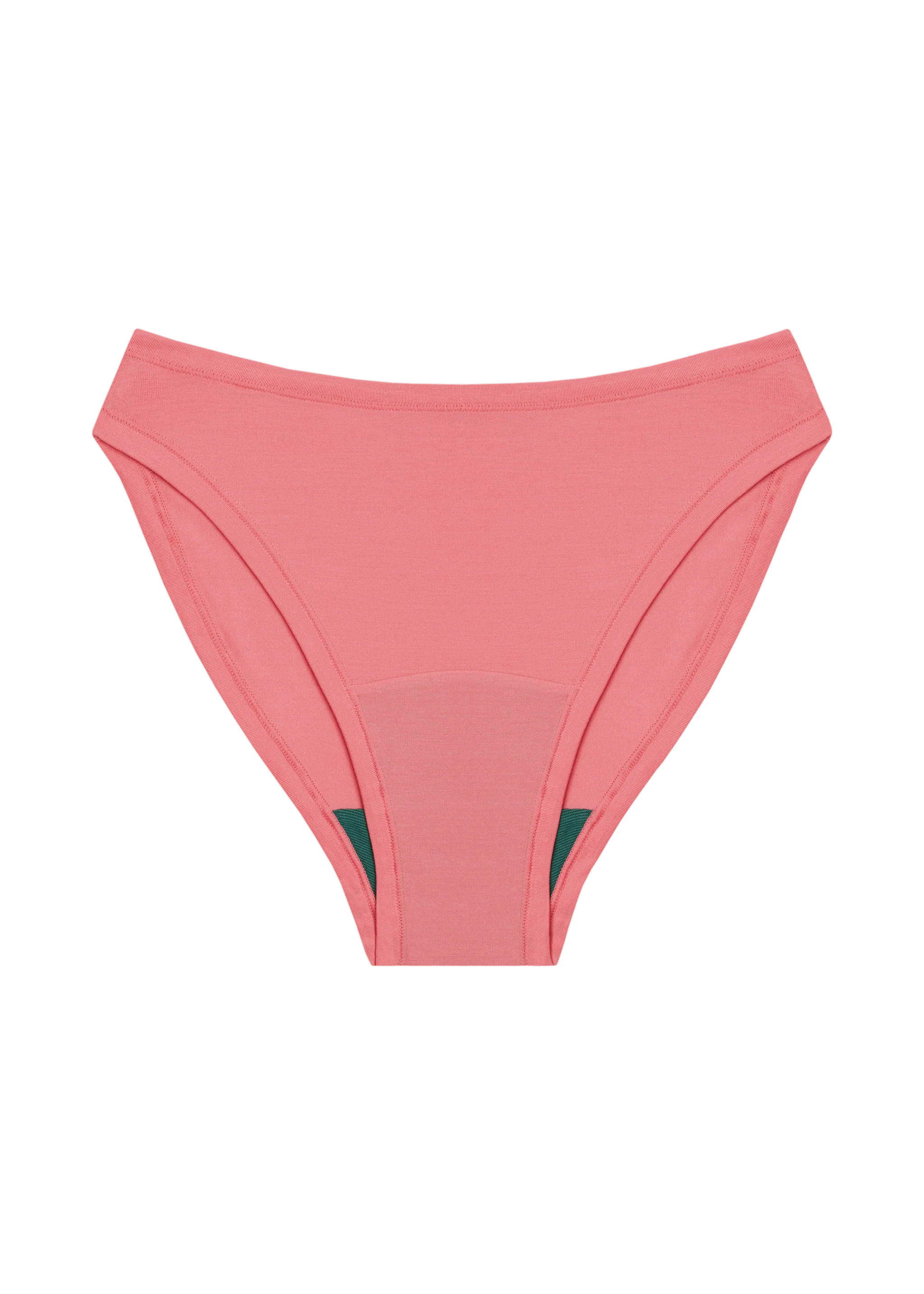 High Rise Bikini - Image 10