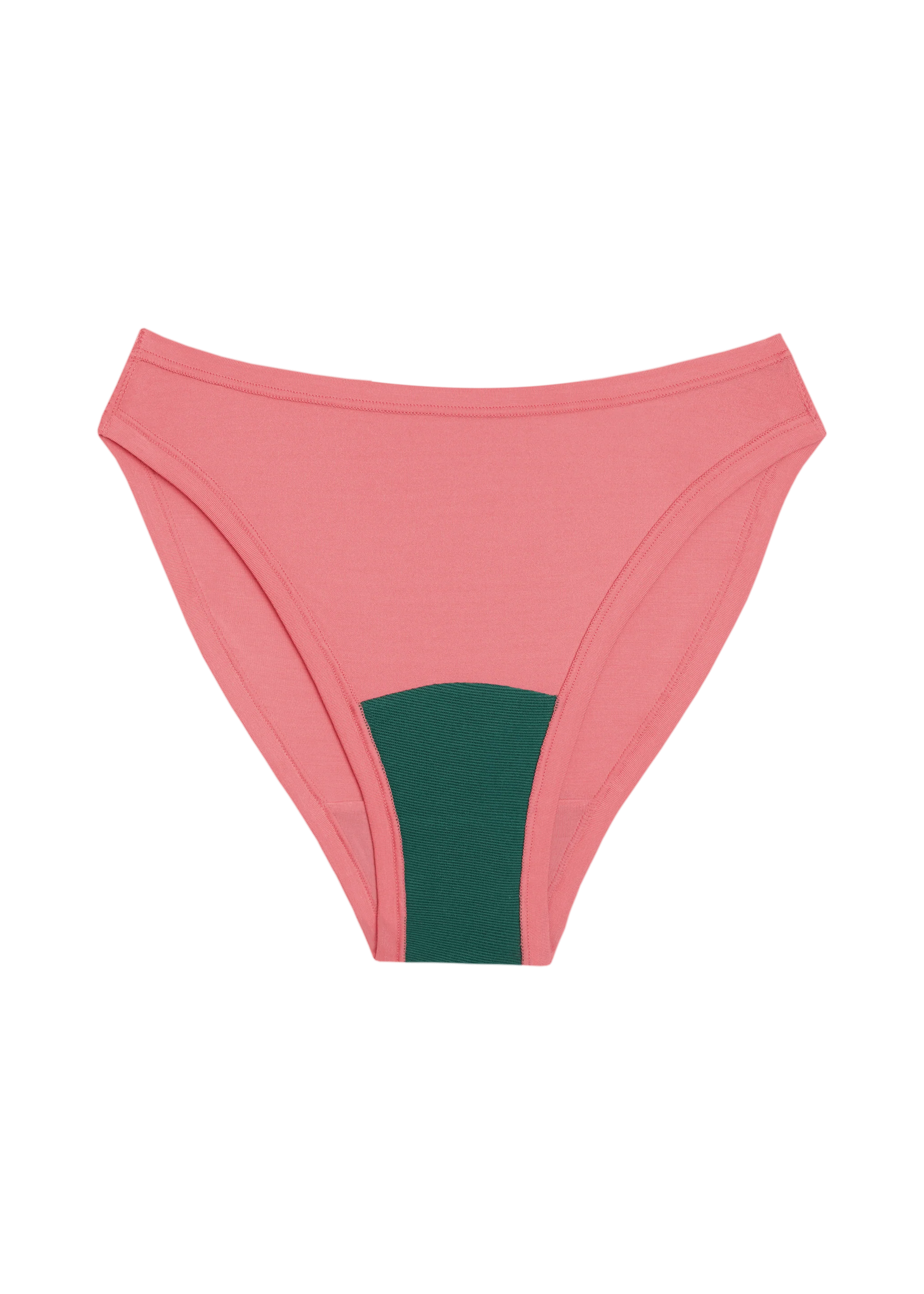 High Rise Bikini - Image 11