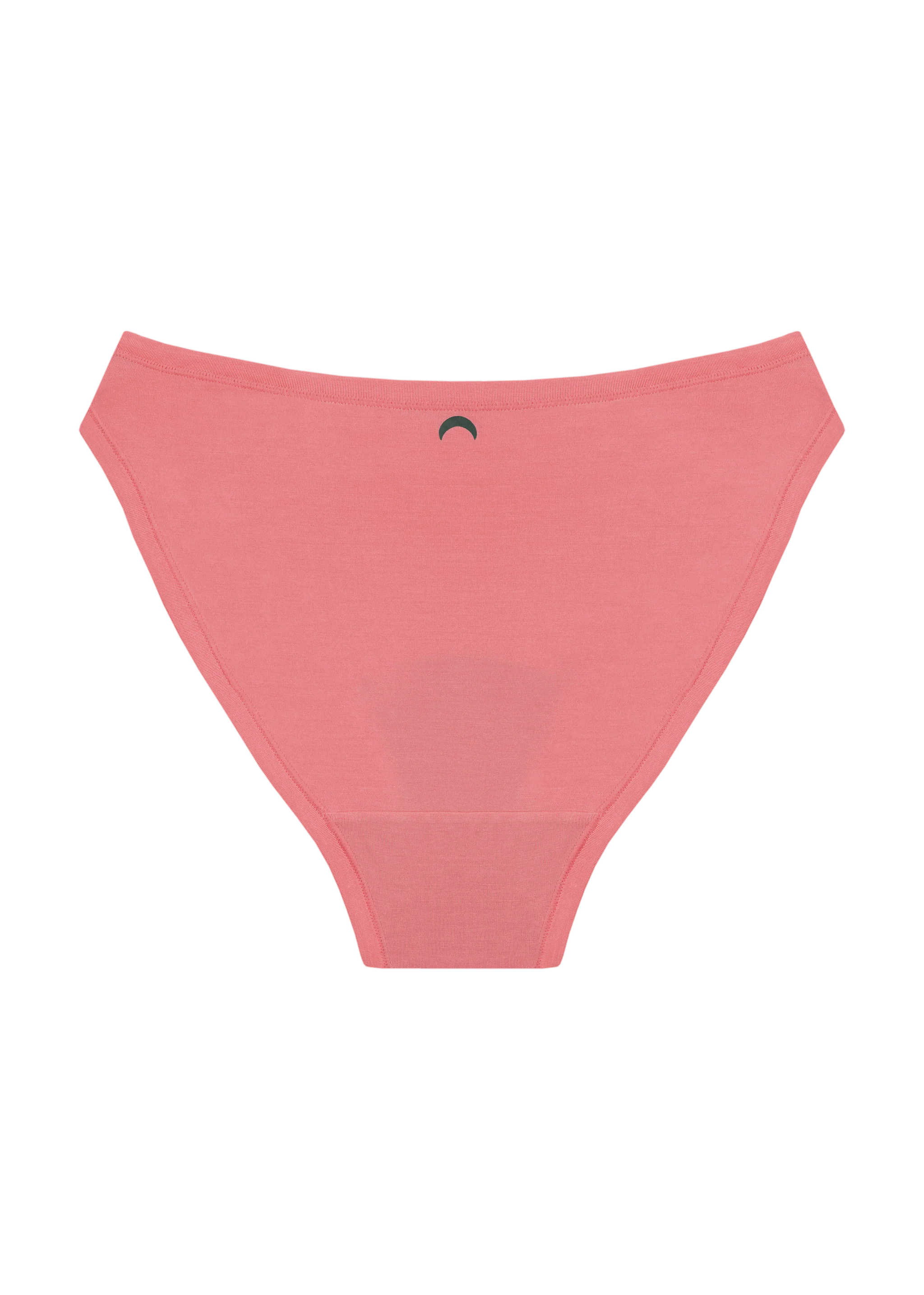 High Rise Bikini - Image 9
