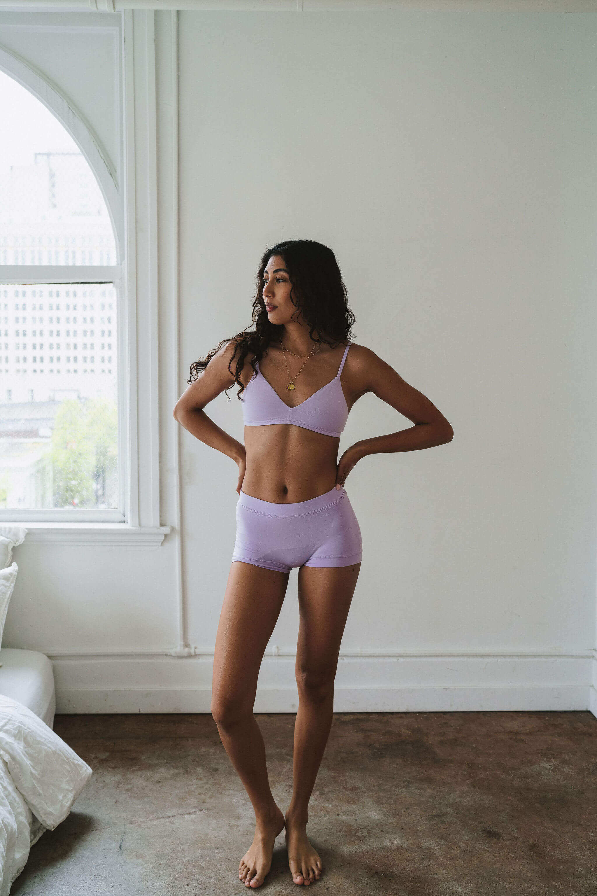 Boxer - Image 3