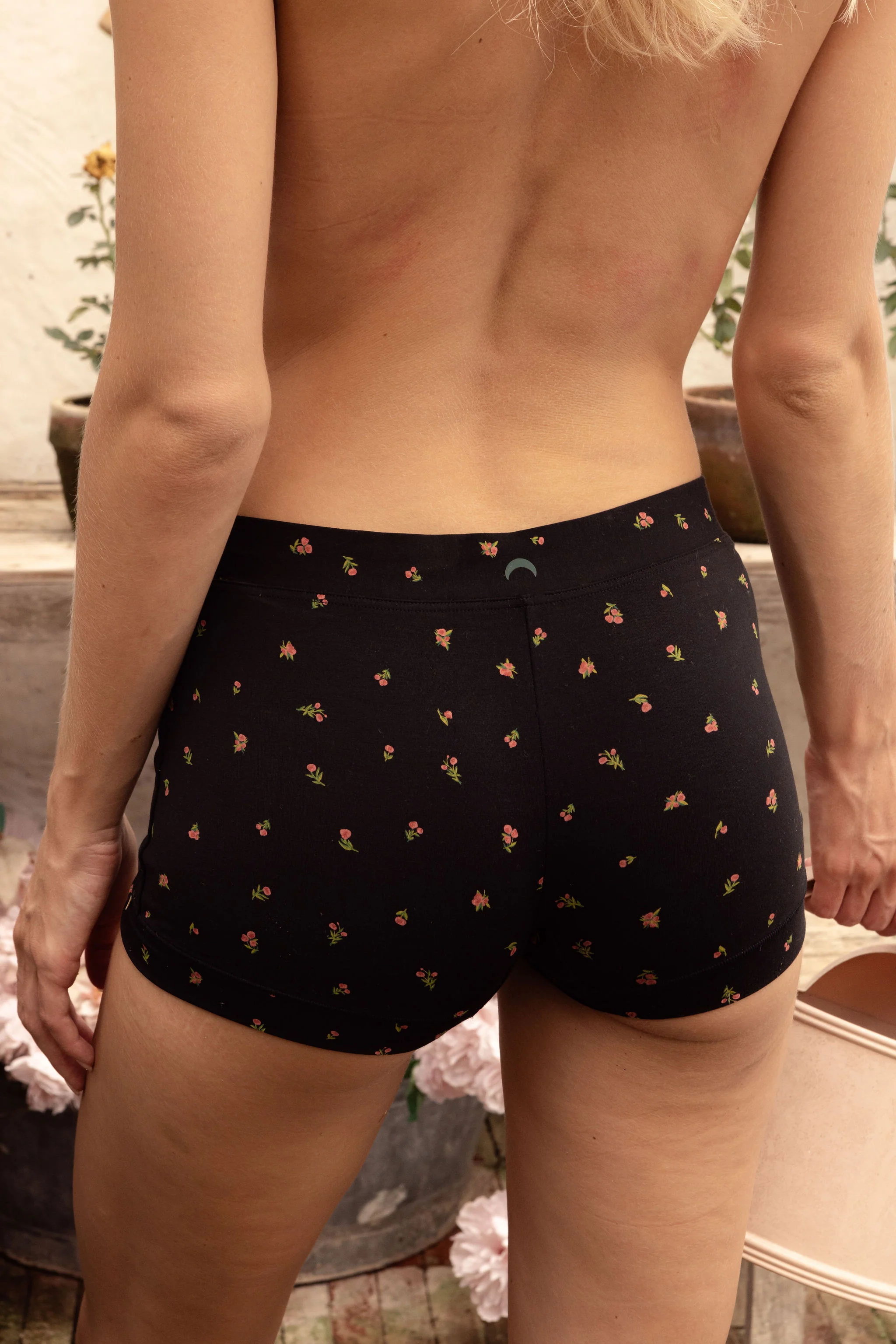 Boxer - Image 2